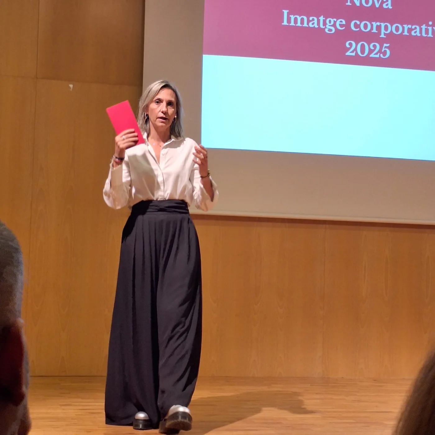Nana liderant una sessió de consultoria estratègica